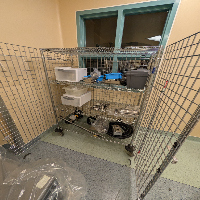 American Kuhne Laboratory Extruder System with Control Cabinet and Chiller image 2
